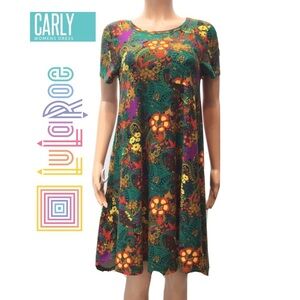 LuLaRoe Paisley Print Carly Swing Dress